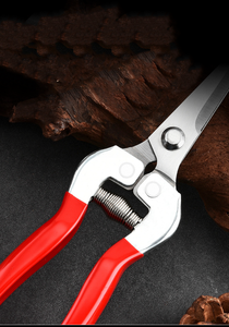 Cisailles de taille-haie et de coupe de fleurs de petite taille en acier inoxydable DaringFish - Product Image 5