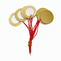 Elemen Piezo Buzzer Kuningan 35T25 dengan Film PVC Transparan 49mm dan Kabel Merah, Transduser Keramik Piezoelektrik untuk Sensor OEM