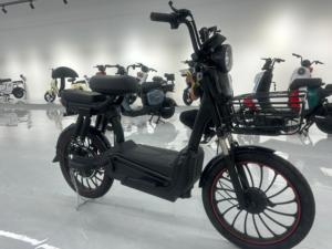 Bicicleta Eléctrica de Carretera para Adultos, Nuevo Diseño, Neumáticos Grandes, Silenciosa, 3 Velocidades, Motor de Acero sin Escobillas, Batería de Litio - Product Image 4