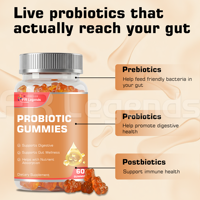 Gummies Probiotiques Véganes OEM ODM Sans Sucre pour la Digestion et la Santé Intestinale – Complément Probiotique et Prébiotique