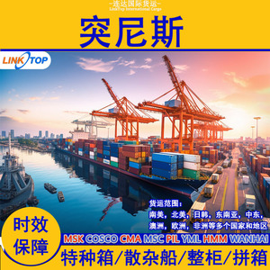 Linktop Lianda Logistics, Envío Internacional Exprés Marítimo y Aéreo, Shenzhen a Túnez, Puerto de Túnez, LTS 0018 - Product Image 2
