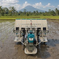Repiqueuses de riz autoportées personnalisées de 3,3 kW, consommation de carburant de 6 kg par hectare, poids de 187 kg, pour le Vietnam et la Thaïlande, avec des coûts d'exploitation minimaux