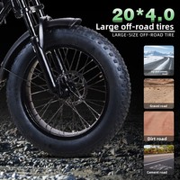 Vélo électrique tout-terrain rétro 20 pouces à batterie lithium 48V sans balais, pneus larges, directement de l'usine
