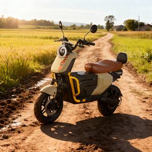 <span class=keywords><strong>Moto</strong></span> Elettrica Falcon 2000W per Pendolarismo Urbano 60V 61-80km/h Streetbike Direttamente dalla Fabbrica - Product Image 4