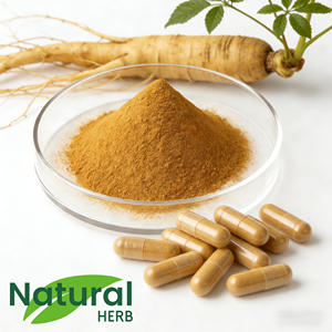 Doğal Panax <span class=keywords><strong>Ginseng</strong></span> Ekstresi %5 ila %80 Ginsenositler Yüksek Saflıkta Bitkisel Takviye GMP Sertifikalı - Product Image 3