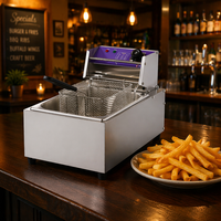 Friteuse Électrique Commerciale 10L Professionnelle de Haute Qualité pour Frites, en Acier Inoxydable 304, 2000W