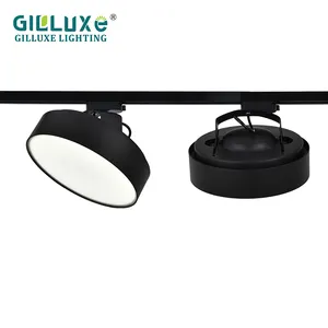 Yüksek parlaklık yuvarlak ayarlanabilir aydınlatma 16w 24w 36w Modern kapalı ticari LED ray lambası