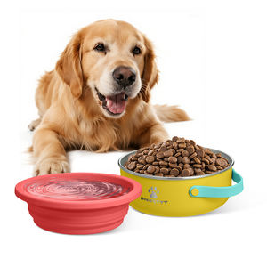 Evcil üretici paslanmaz çelik silikon katlanabilir 2 in 1 kaymaz köpek kase Pet besleyici 52oz 30oz - Product Image 1