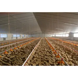 Rumah Ayam Pertanian Logam Ringan Baja Pabrikan Unggas dengan Harga Rendah