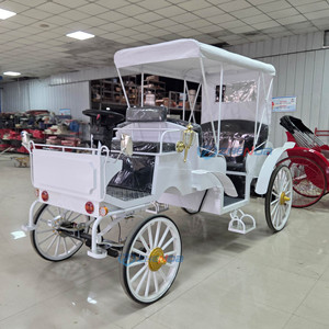 Carruaje Eléctrico Blanco de Alta Calidad para Turismo, Hecho en China, a Bajo Precio - Product Image 3