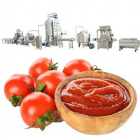Kleine schaal 0,5 ton handmatige semi-automatische tomatensaus productielijn, voedselveilige roestvrijstalen mixer voor fruit en groenten