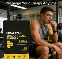 Complément alimentaire OEM 100% naturel à base de shilajit de l'Himalaya, gommes dorées, saveur fruits rouges mélangés, 60 unités, antioxydant, améliore l'énergie, pour adultes