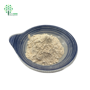 Extracto <span class=keywords><strong>de</strong></span> brotes <span class=keywords><strong>de</strong></span> <span class=keywords><strong>trigo</strong></span> CAS: 124-20-9, polvo <span class=keywords><strong>de</strong></span> extracto <span class=keywords><strong>de</strong></span> germinados <span class=keywords><strong>de</strong></span> <span class=keywords><strong>trigo</strong></span> con 0.1%~1% <span class=keywords><strong>de</strong></span> espermidina - Product Image 2