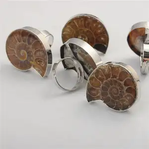 Charme Handgemaakte Natuurlijke Schelp Ammoniet Zilver Omwikkeld Hanger Shell Ringen Voor Vrouwen Mannen Sieraden Maken