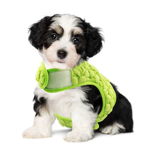 <strong>Dog</strong> Collar and Leash Set with Adjustable Floral Collar Metal Buckle and Tag Decor for <strong>Dogs</strong> Cloth - Product Image 5