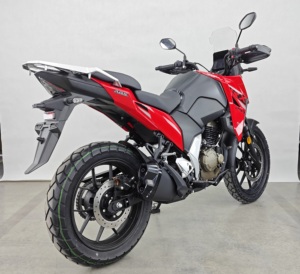 Moto tout-terrain Hot Sale Fast Rider haute puissance EFI 250cc, refroidissement par huile, 4 temps, avec ABS TCS - Product Image 3