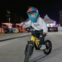 Moto électrique tout-terrain pour enfants, pneus à crampons de 16 pouces, freins à disque hydrauliques, batterie Li-ion 36V 5.0Ah, conduite sur sentier, logo personnalisé disponible