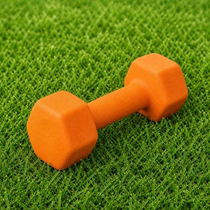 Hot Sales Fitness Equipment Home <b>Hex</b> Neoprene <b>Dumbbell</b> <b>Set</b> for Women and Kids - Product Image 2