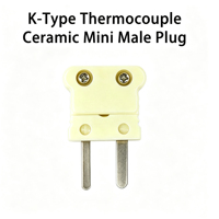 Connecteur thermocouple miniature mâle en céramique de type K, anti-explosion, OEM ODM, accessoires de connecteur de capteur de température personnalisés