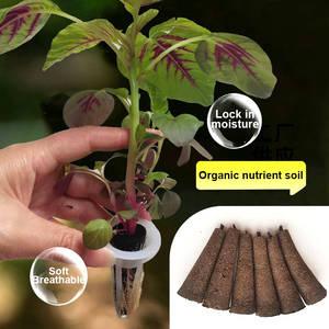 Sistema Hidropónico, Accesorios de Cultivo con Circulación Automática de Agua para Cultivo Interior de Vegetales y Hierbas - Product Image 2