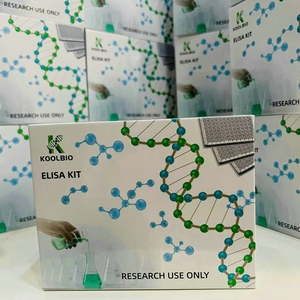Kit ELISA <span class=keywords><strong>sandwich</strong></span> pour la détection de l'IL-6 de la souris |   Haute sensibilité 7,81-500pg/mL |   pour <span class=keywords><strong>les</strong></span> homogènes de sérum/plasma/tissus et <span class=keywords><strong>les</strong></span> lysats cellulaires |   Koolbio - Product Image 1