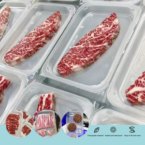 Customizable Small <strong>Disposable</strong> Food <strong>Tray</strong> with Leakproof Plastic <strong>tray</strong> for <strong>Dessert</strong> Packaging <strong>Disposable</strong> Food <strong>Tray</strong> - Product Image 1