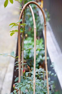 Arceau de jardin en bambou Tonkin naturel 30/45/90 cm pour support de plantes et décoration de jardin et de ferme - Product Image 5
