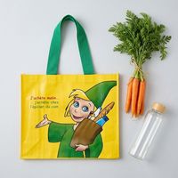 Bolsa de Polipropileno Resistente, Impermeable, con Asa, Plegable, Reutilizable, Tejida en PP, para Venta al Por Mayor