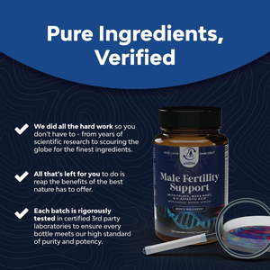 Cápsulas de Maca para la Fertilidad Masculina, Vitaminas para la Fertilidad Masculina, Aumentan la Energía y la Fertilidad, Cápsulas Masculinas - Product Image 6