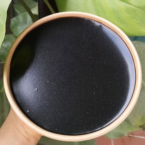 Poudre de gelée d'herbe noire 100% naturelle, maille fine, solubilité rapide pour une préparation rapide dans les restaurants et les cafétérias - Product Image 1