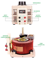 Régulateur de tension réglable TDGC2 -1KVA monophasé 220V en cuivre 0-300V Variac