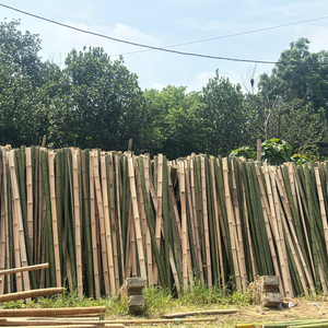 Palos de bambú enteros de fábrica OEM al por mayor de Vietnam Material ecológico natural 2100cm de longitud 2,1 m de diámetro para postes de tienda de campaña jardín - Product Image 4