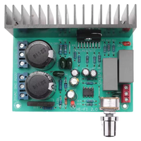 Placa amplificadora de potencia estéreo HIFI de 50W 2.0 United States half NS LM1876