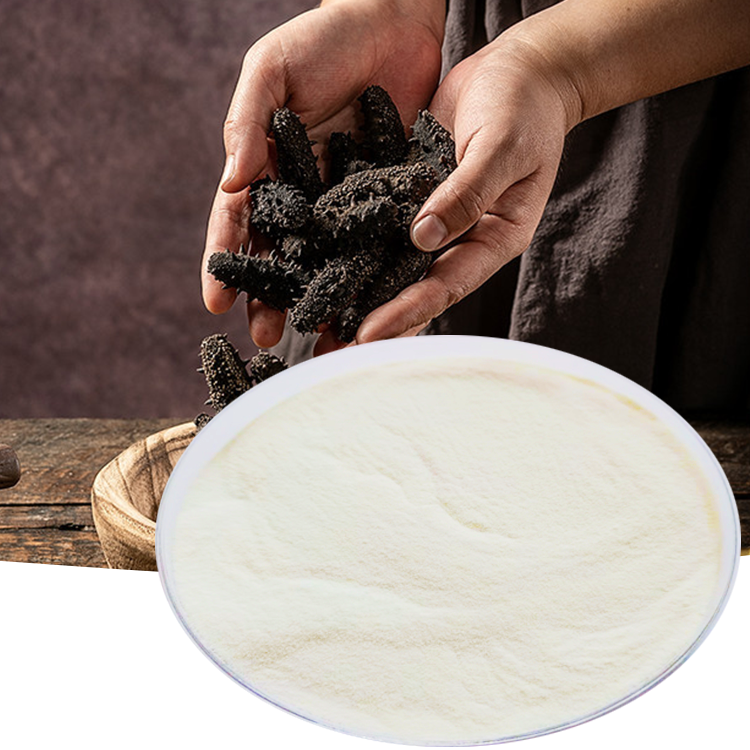 Китайский производитель пептидов морского огурца, поставщик голотуринового пептида