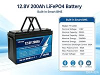 Batterie lithium-ion à décharge profonde avec BMS 300Ah-100Ah 24V LiFePO4, communication CAN, panneaux solaires, durée de vie de 6000 cycles, garantie de 5 ans