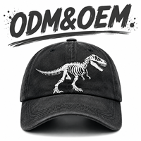 Casquette de baseball décontractée personnalisée en coton délavé style vintage avec broderie 3D squelette, ajustable, pour l'extérieur et la protection solaire