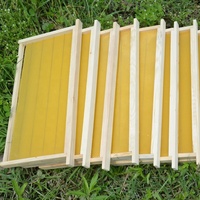 30 Stück/Box Hochwertige Bienenwachs-Grundplatten für Langstroth Tiefen-Bienenstockrahmen