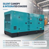 Générateur diesel silencieux 250 kW 312,5 kVA, moteur Ricardo P618ZLD, triphasé, refroidissement par eau, groupe électrogène avec ATS pour alimentation industrielle CE