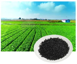 Fertilizante orgánico soluble en agua personalizado Toqi Fertilizante NPK de ácido húmico