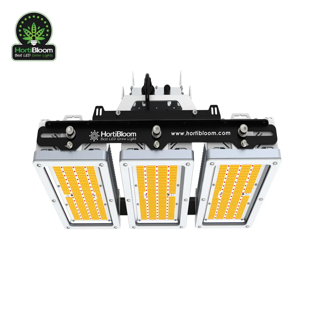 Best sellers in US 2021 lm301 crees xp2 600w full spectrum led grow lights for indoor led grow