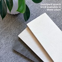 Carreaux de céramique pour mur rideau PX Modèle 0067 Alpine 600x1200mm Antidérapants Faible absorption d'eau Résistants à l'usure Texture granit Mat