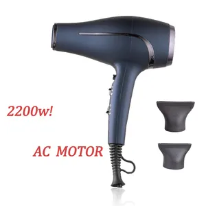 Pengering Rambut Salon Portabel, Pemdiffuser Udara Portabel 2000W AC Motor Volumize Keramik