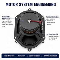 Altavoz Coaxial de 2 Vías para Auto de 5x7 Pulgadas, Cono de Fibra de Vidrio, Tweeter de Al-Mg, Motor de Ferrita, Fabricante OEM ODM, 500 Unidades