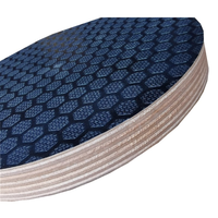 Planches de contreplaqué de bouleau phénolique antidérapantes en maille, plancher de remorque moderne, 9 mm, extérieur, taille E1, 2440*1220 mm