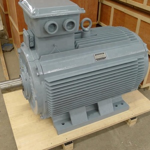 Produits en gros : Nouveaux générateurs hydroélectriques à basse vitesse YGDLF-300, générateurs hydroélectriques alternatifs - Product Image 3