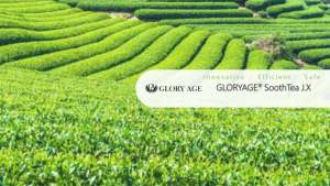 Anti-allergie anti-oxydante superbe chimique de matières premières J.X. Matières premières cosmétiques naturelles d'extrait de thé vert de catéchines riches Imdermalab produits chimiques quotidiens - Product Image 3