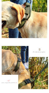 Conjunto de Correa y Collar Táctico Resistente para Perro con Hebilla de Liberación Rápida de Metal y Tira Reflectante para Entrenamiento de Razas Pitbull y <span class=keywords><strong>Bully</strong></span> - Product Image 5