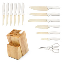 Couteau de Chef de Cuisine Droitier Écologique de Qualité Supérieure en Acier Inoxydable Professionnel avec Manche Coloré en Plastique PP