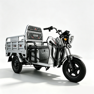 <span class=keywords><strong>Triciclo</strong></span> Eléctrico de Carga de 1000W al por Mayor, <span class=keywords><strong>Triciclo</strong></span> Eléctrico, <span class=keywords><strong>Bicicleta</strong></span> Eléctrica de 3 Ruedas <span class=keywords><strong>para</strong></span> Adultos - Product Image 1
