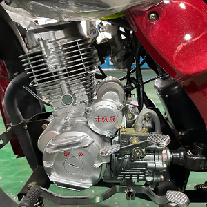 In-stock Promotion <b>Gasoline</b> CargoTricycle Full-floating Rear Axle 53 Front Shock Delivery Motorcycle for Market Vendor - Product Image 2